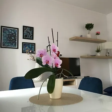 Guest house Petofi Vendeghaz